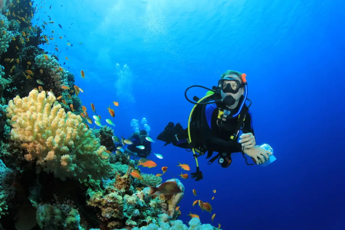Open Water Diver